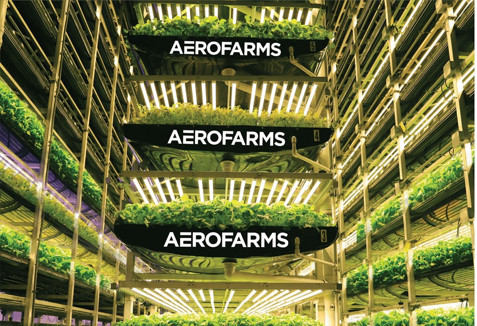 Indoor farming co AeroFarms drops plans to go public via SPAC merger