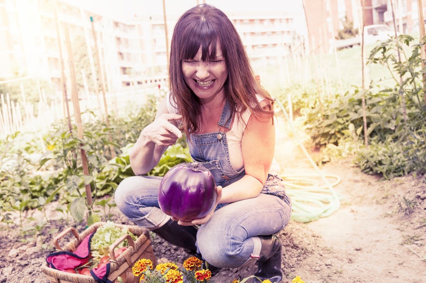 Urban farming could reinvent supply chains