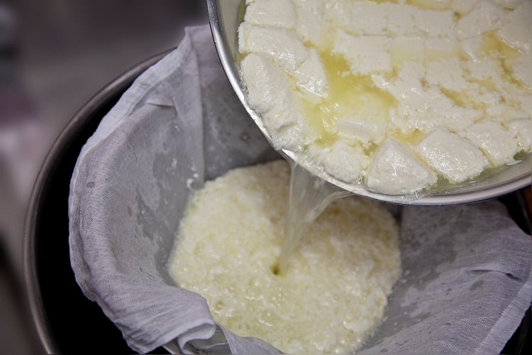 Industry Insights from NIZO: Reducing fouling during food and ingredient processing