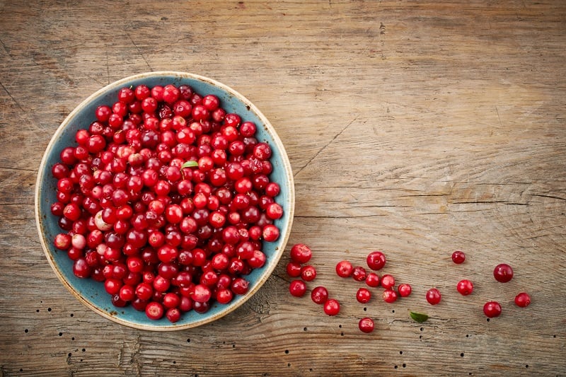 Lingonberry juice may lower high blood pressure: study