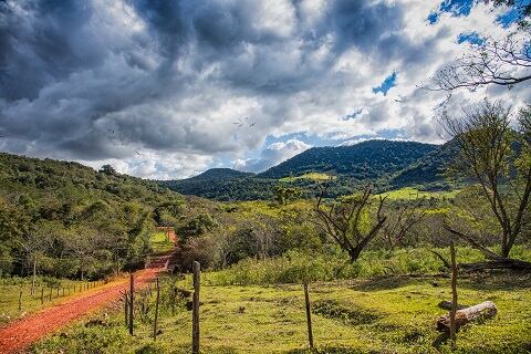 Sustainable-farming-in-Paraguay-gets-US-25m-boost.jpg