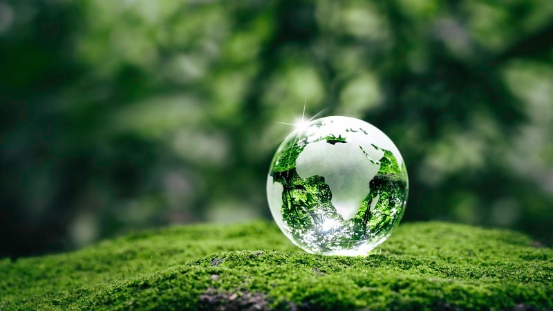 IFT announces Seeding The Future Global Food System Challenge seed grant winners, growth grant and grand prize finalists