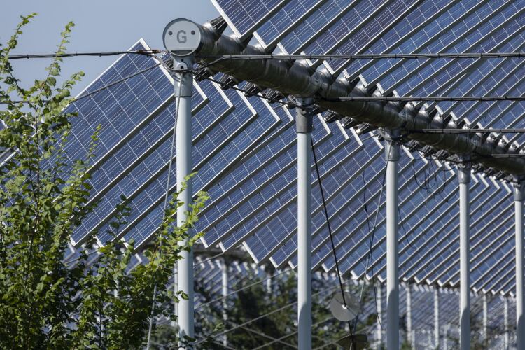GettyImages_Miropa-Agrivoltaics-agriculture-energy-solar-renewables.png