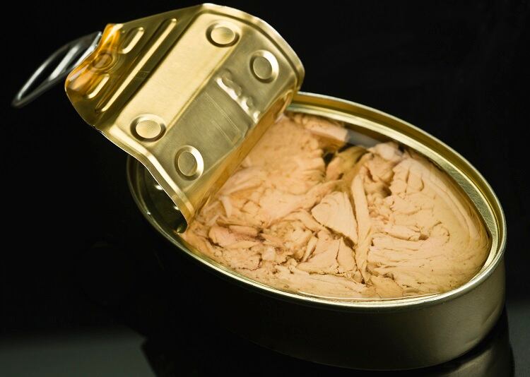 tuna-Juanmonino.jpg