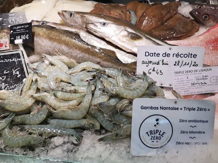 LISAQUA_-_1-Zoom_poissonnerie_-credit_photo_LISAQUA-1-resized.jpg