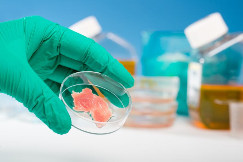 meat-petri-dish-cultured-lab.jpg