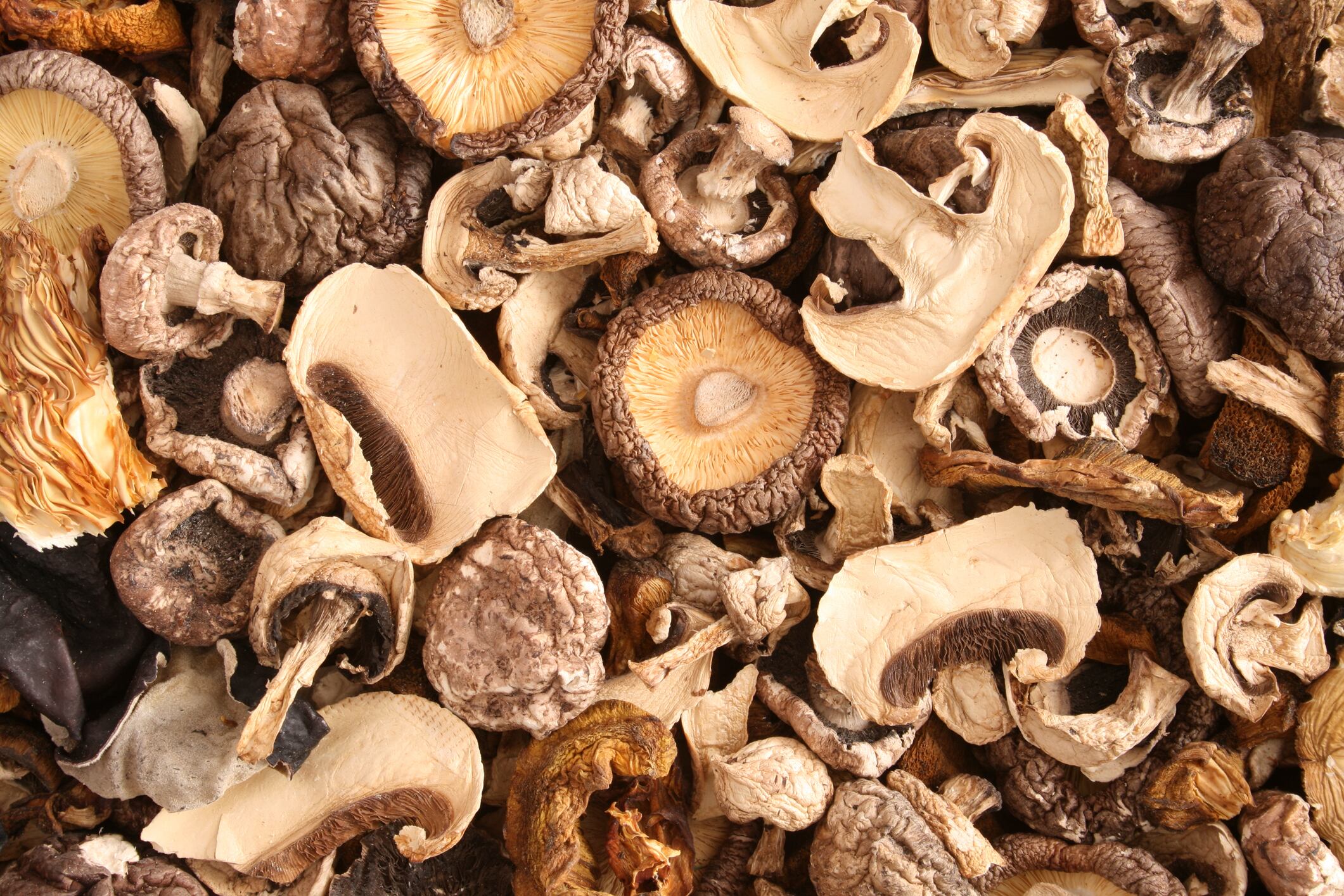 Shiitake Mushrooms