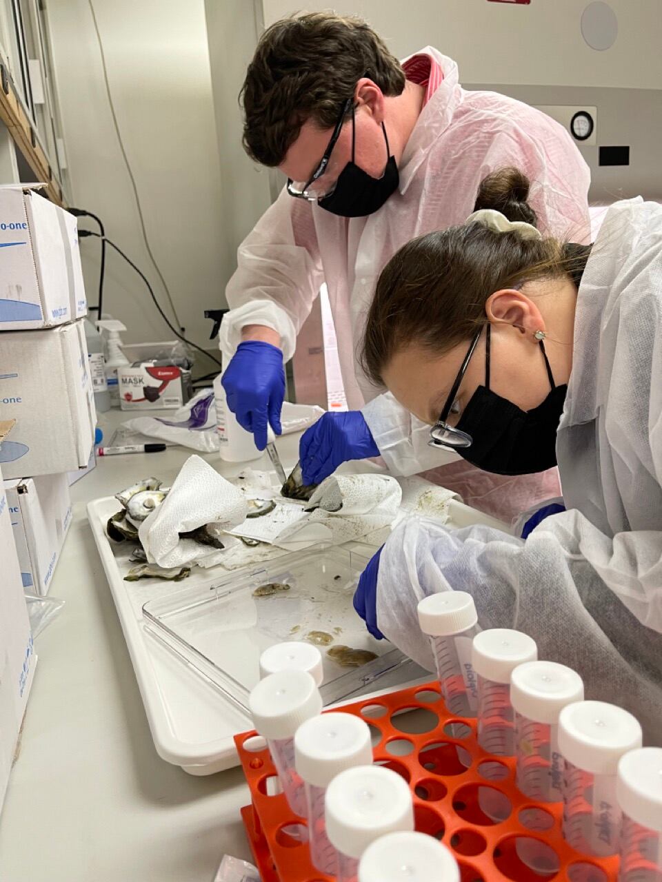 Dissecting-for-samples.jpg