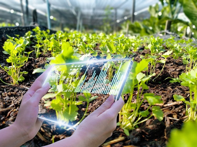 EU sets the 'gold standard' for supply chain traceability