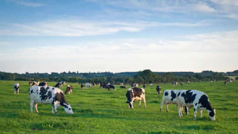 Tech-based carbon neutrality: Australian meat industry confident in achieving 2030 target amidst wider net zero debate