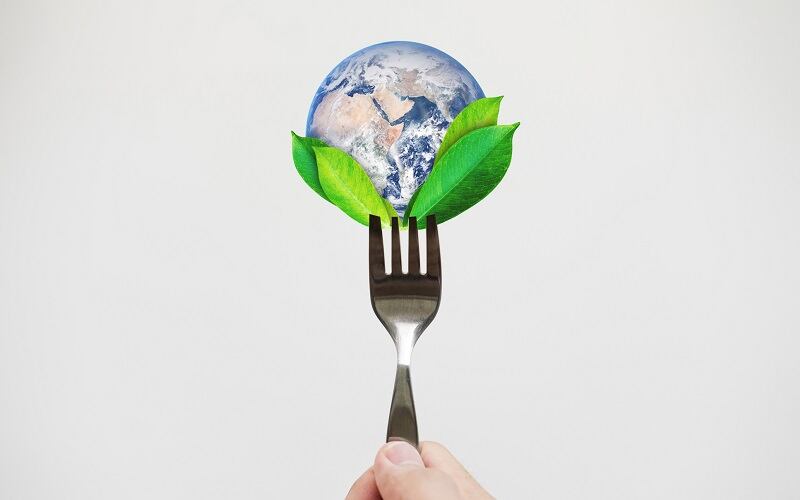 Climate-change-and-consumers-Mintel-shares-how-CPG-brands-can-respond-to-global-crisis.jpg