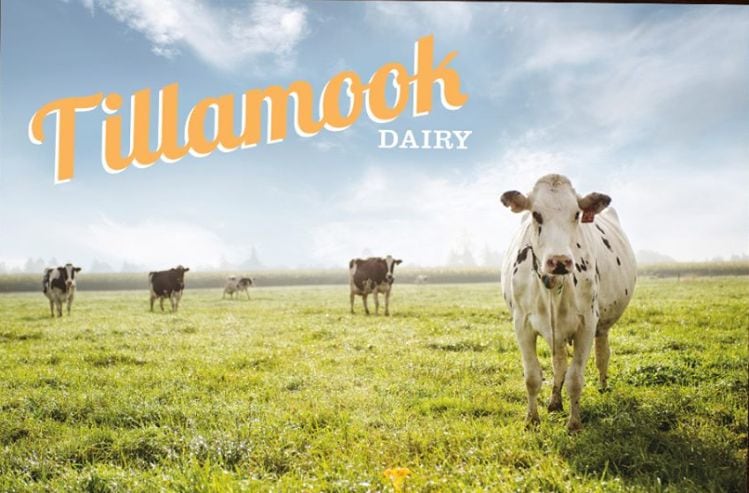 Tillamook presents deceptive image of milk sourcing strategy, alleges lawsuit; Tillamook 'adamantly disagrees'