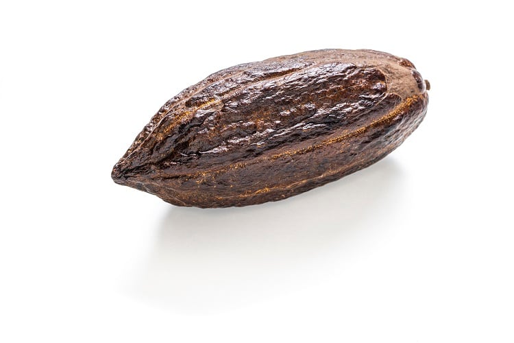Cocoa-marketplace-aims-to-boost-buyer-producer-relationship.jpg