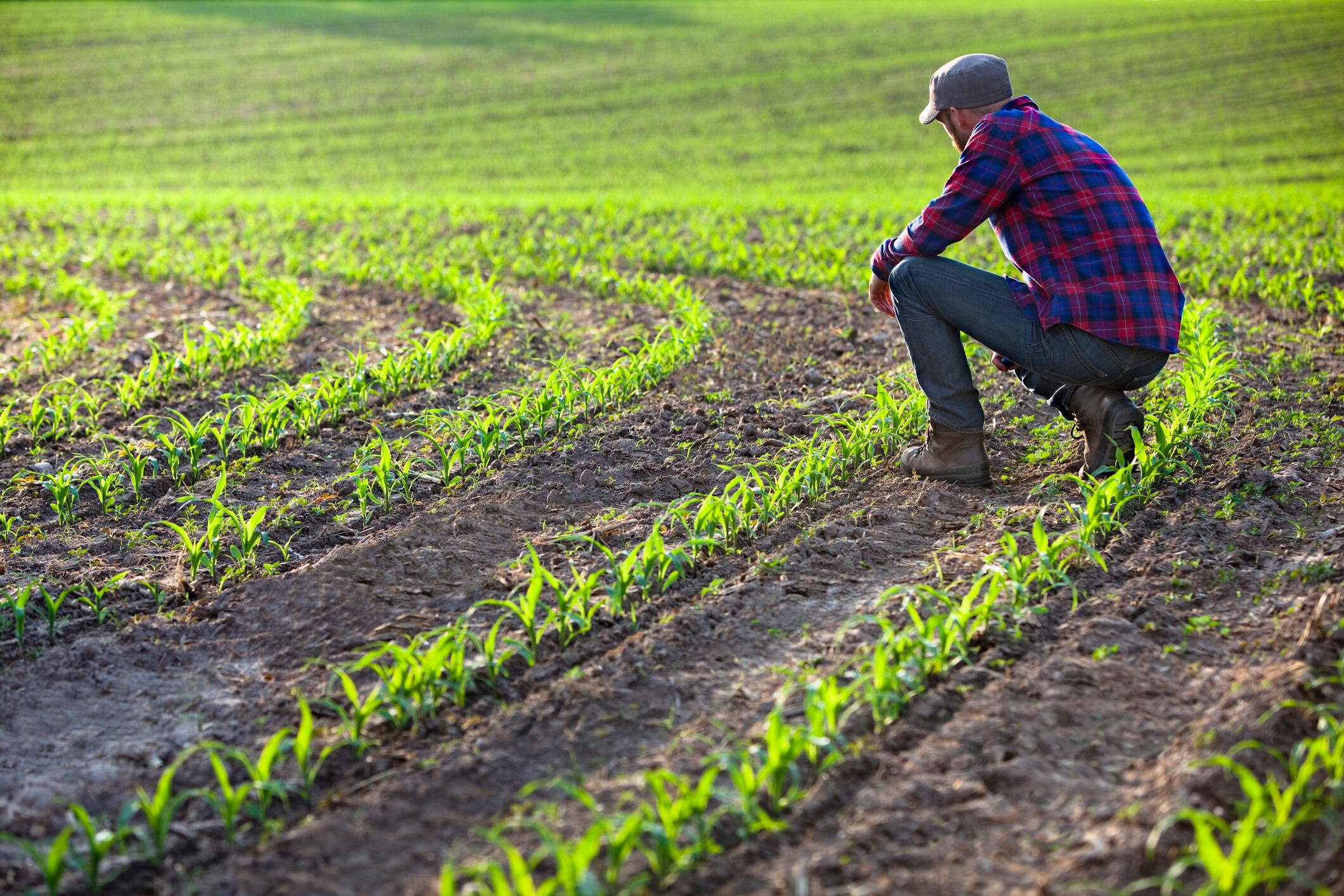 Agricultural sustainability grants up for grabs