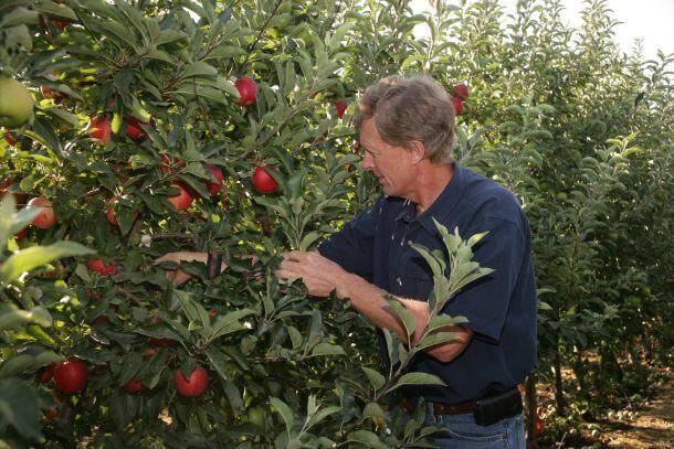 Neal-Carter-in-orchard.jpg