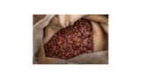 Celebrating the partners at the heart of Ferrero’s cocoa sustainability this World Chocolate Week