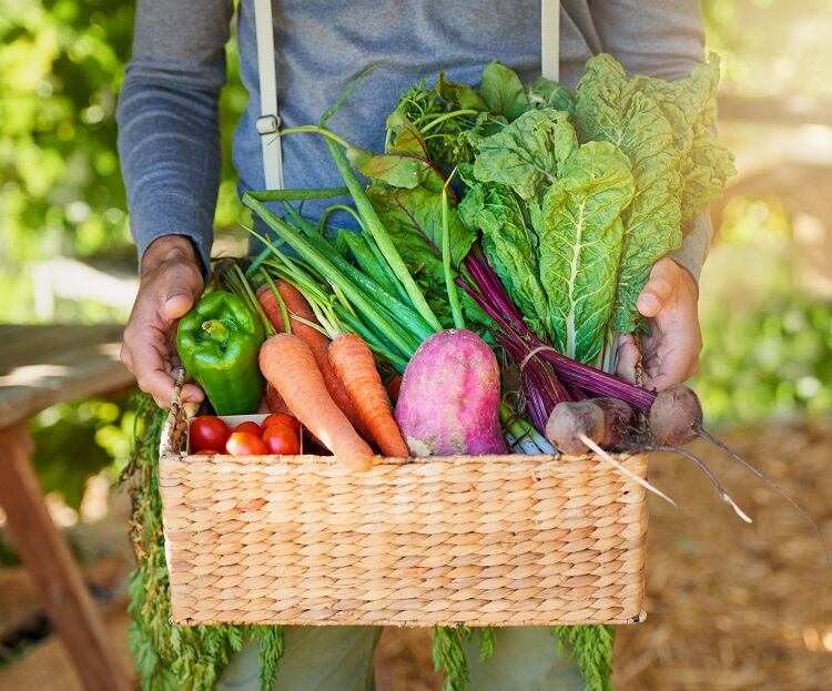 vegetables-PeopleImages.jpg