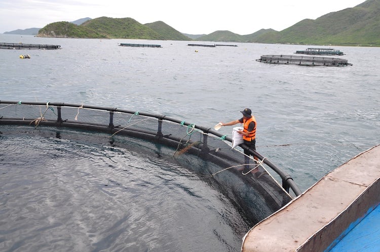Norway taps sustainable marine resources in response to fish farming boom  
