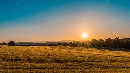Avoid the Greenwashing Trap: How Food Companies Can Build Trust and Transparency in Regenerative Agriculture