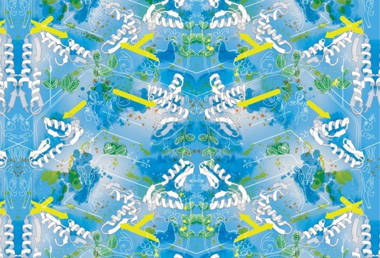 motif-ingredients-credit-KAREN-INGRAM.jpg