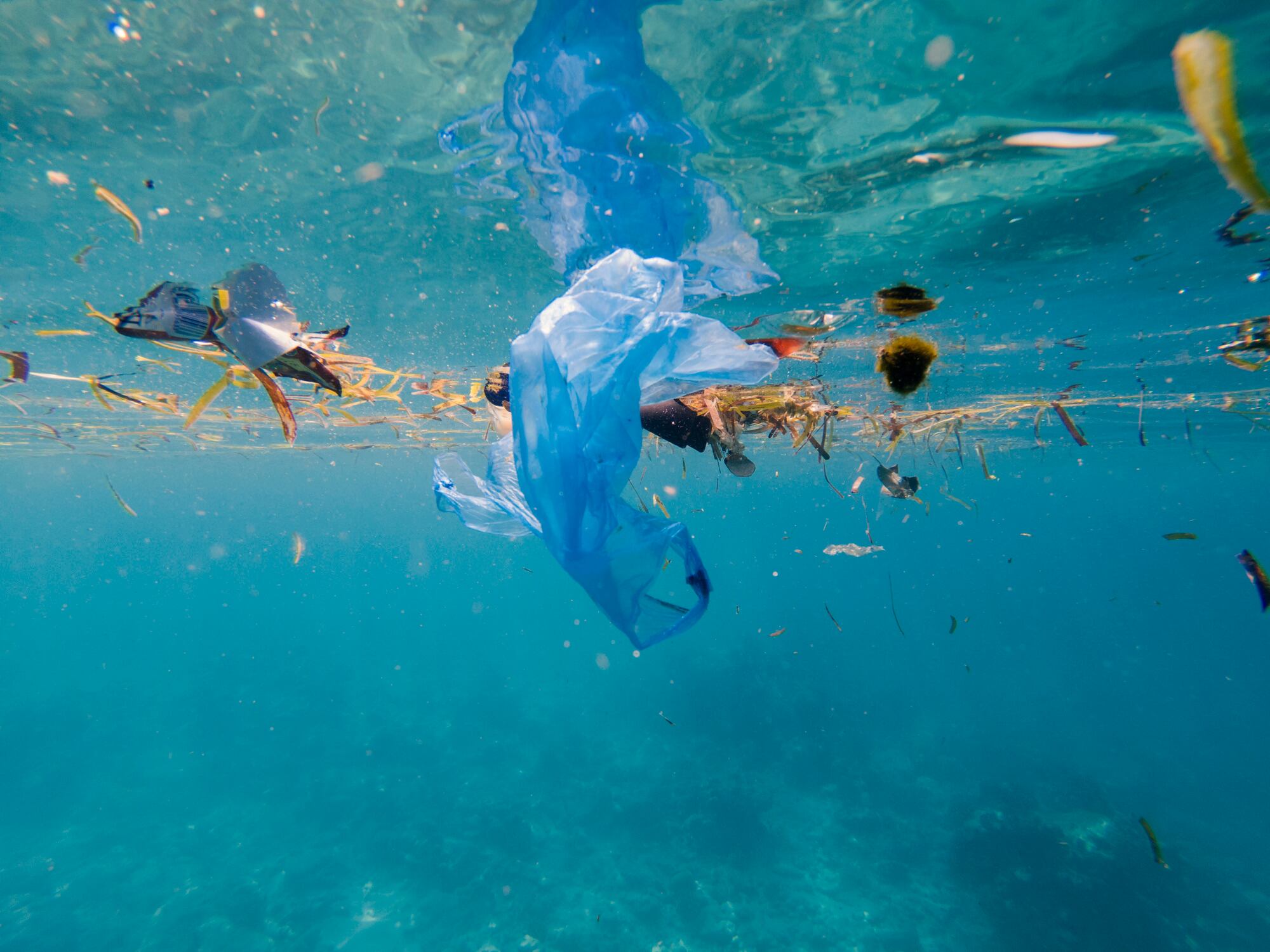 Plastic-free-Latin-America-legislation-starting-food-and-beverage-must-respond.jpg