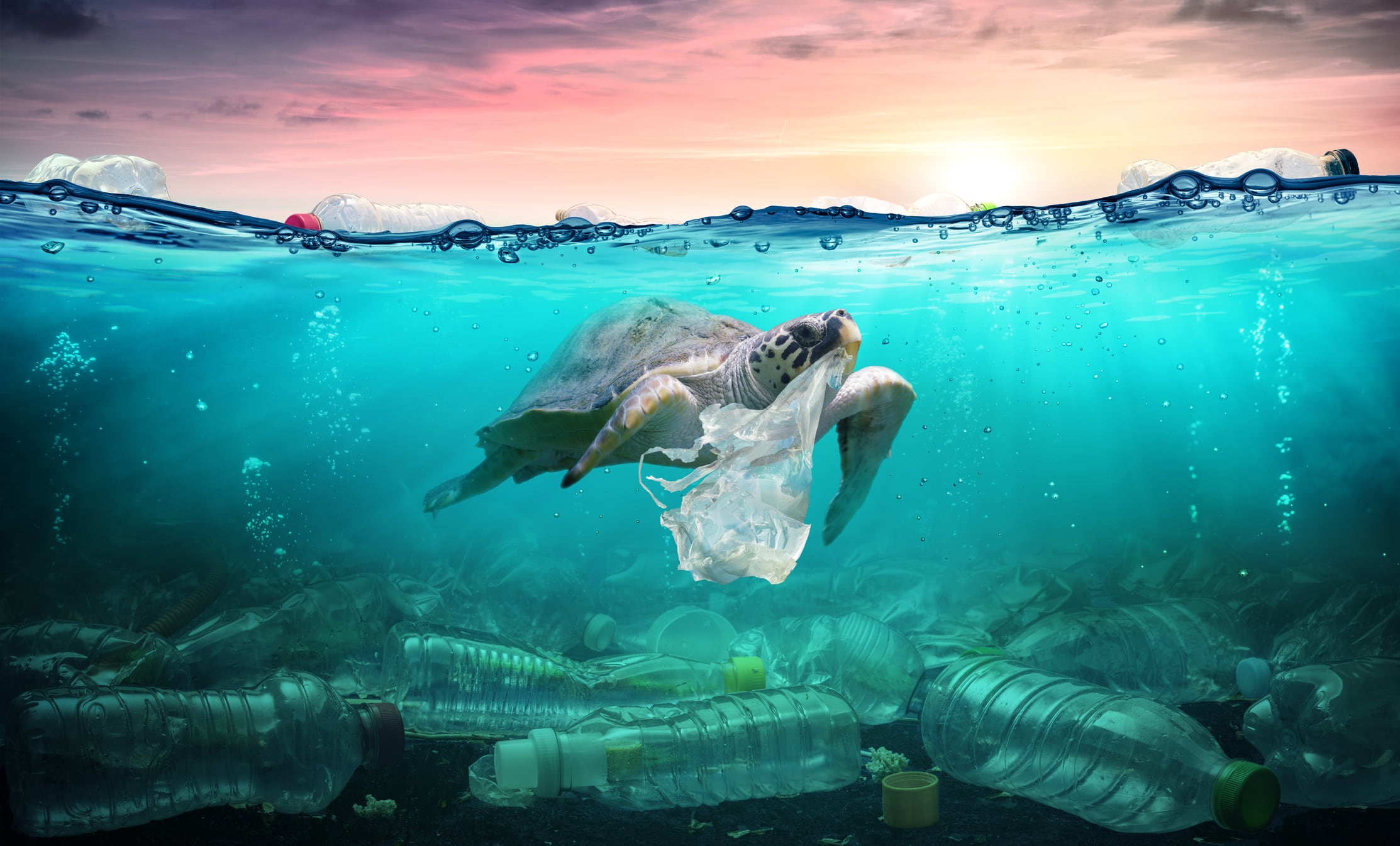 Food companies ‘behind the curve’ on plastic pollution, campaigners claim