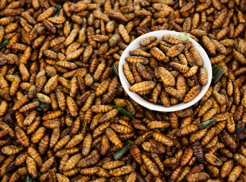 edible-insects-bugs-iStock.com-sibadanpics.jpg