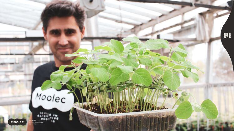 Animal-free-molecular-farming-co-Moolec-Science-to-go-public-via-SPAC.jpg
