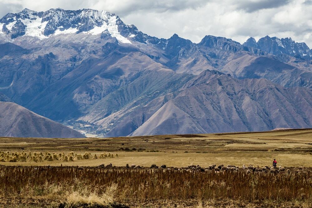 PepsiCo-and-CARE-launch-program-to-empower-women-farmers-in-Peru.jpg