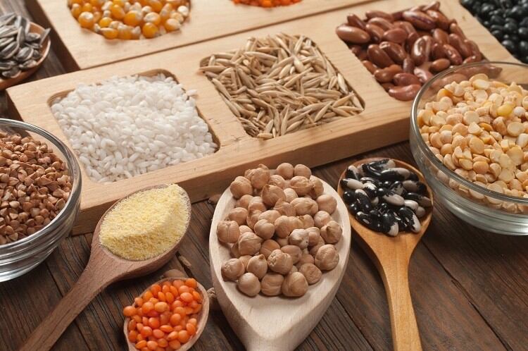 Berkeley researchers identify six 'up and coming' protein game changers