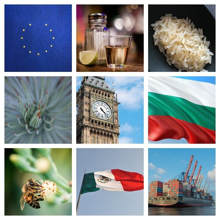 Brexit extension on the table, MEPs blacklist UTPs, and Tequila gains PGI status: A round-up of EU news & views