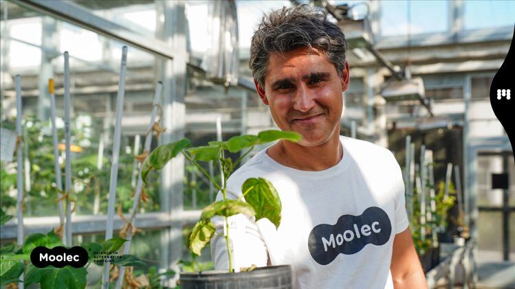 ‘Proudly genetically modified…’ Moolec ‘molecular farming’ co gears up to launch meat proteins from GM crops
