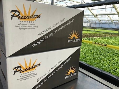 pescadero-growers.jpg