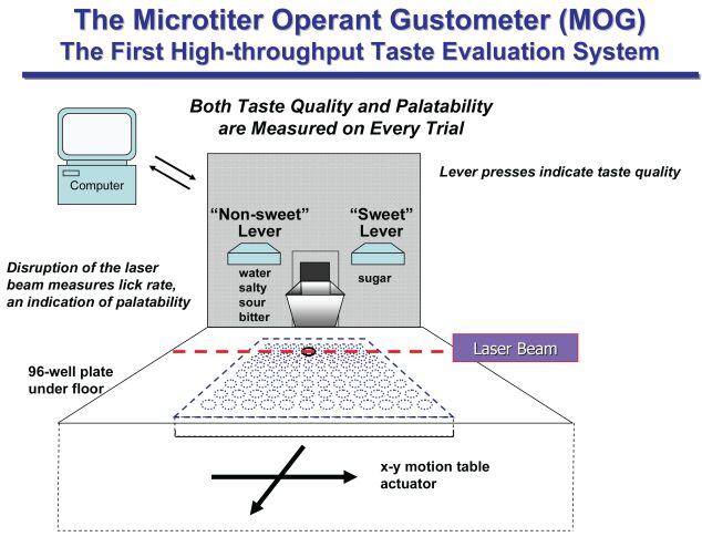 The-Microtiter-Operant-Gustometer-MOG.jpg