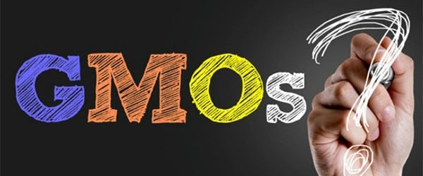 Biosafety governance: Thailand’s GMO regulation draft to cover full spectrum of plant, microorganism and animal products