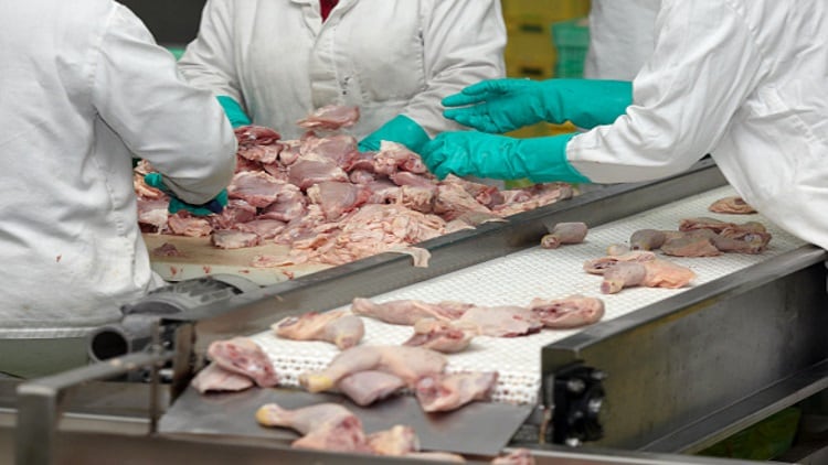 Cargill to expand Thailand poultry business with investment