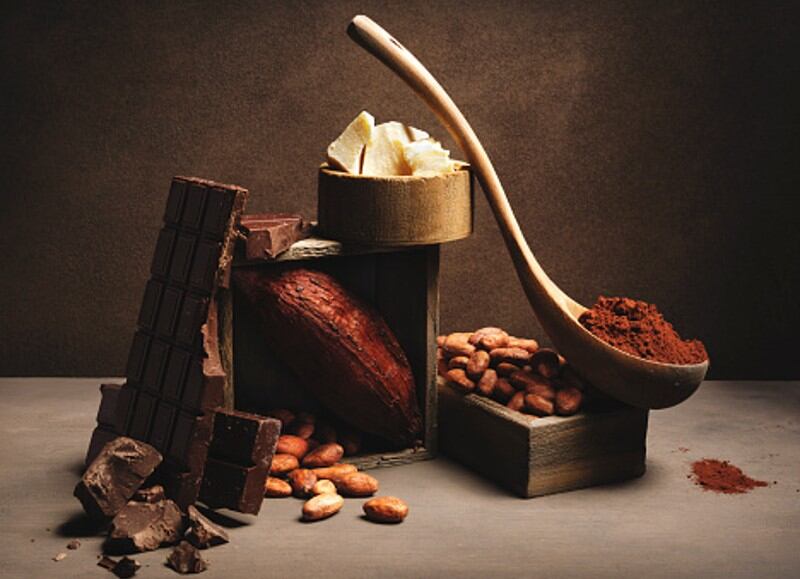 Mondelēz-backed Celleste Bio debuts cell-cultured chocolate-grade cocoa butter