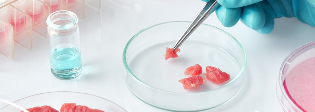 Angel-Yeast-protein-hydrolysates-enable-industrial-cell-cultured-meat.jpg