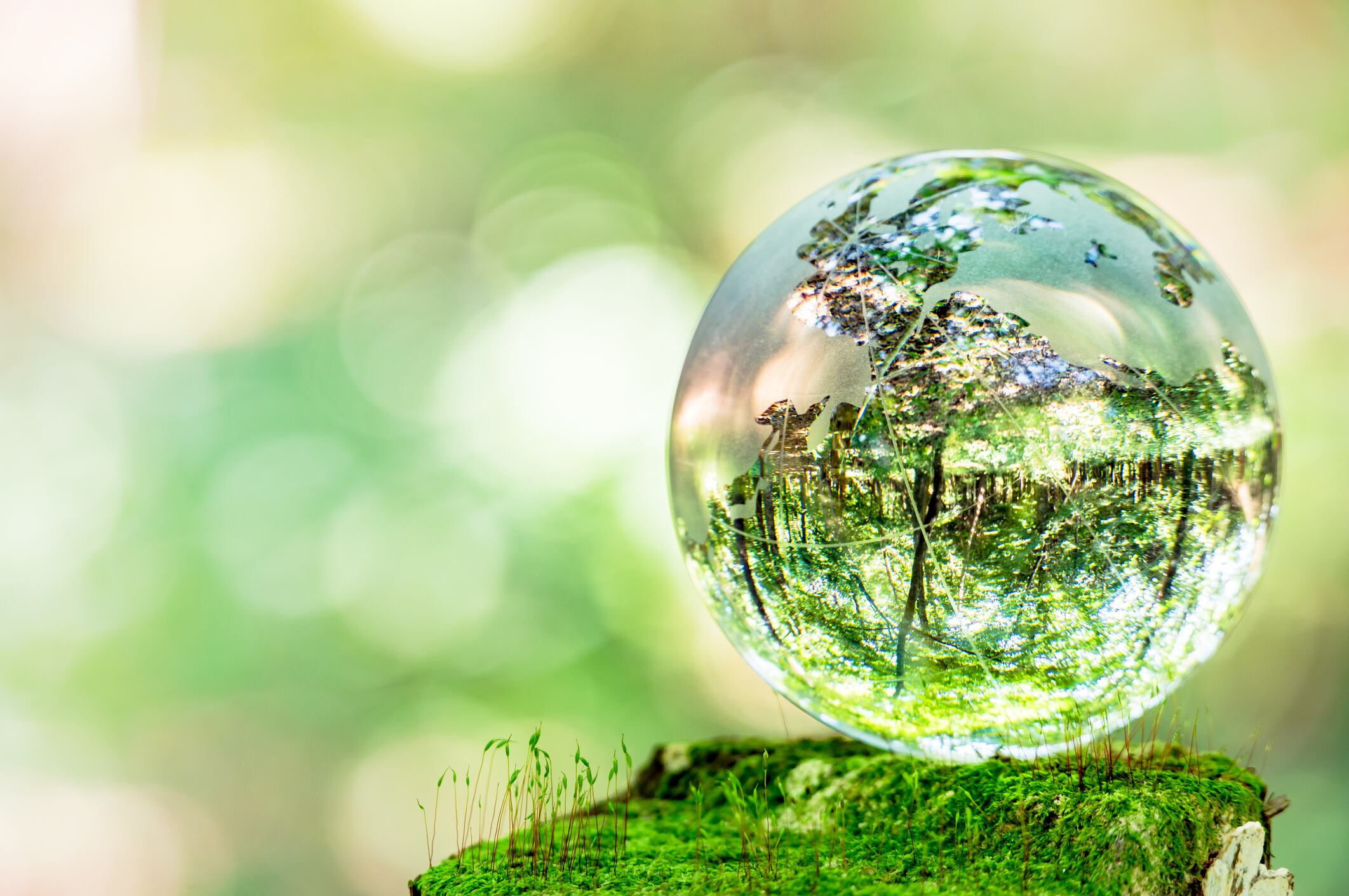 Latin-America-consumers-have-greatest-environmental-concerns-globally.jpg