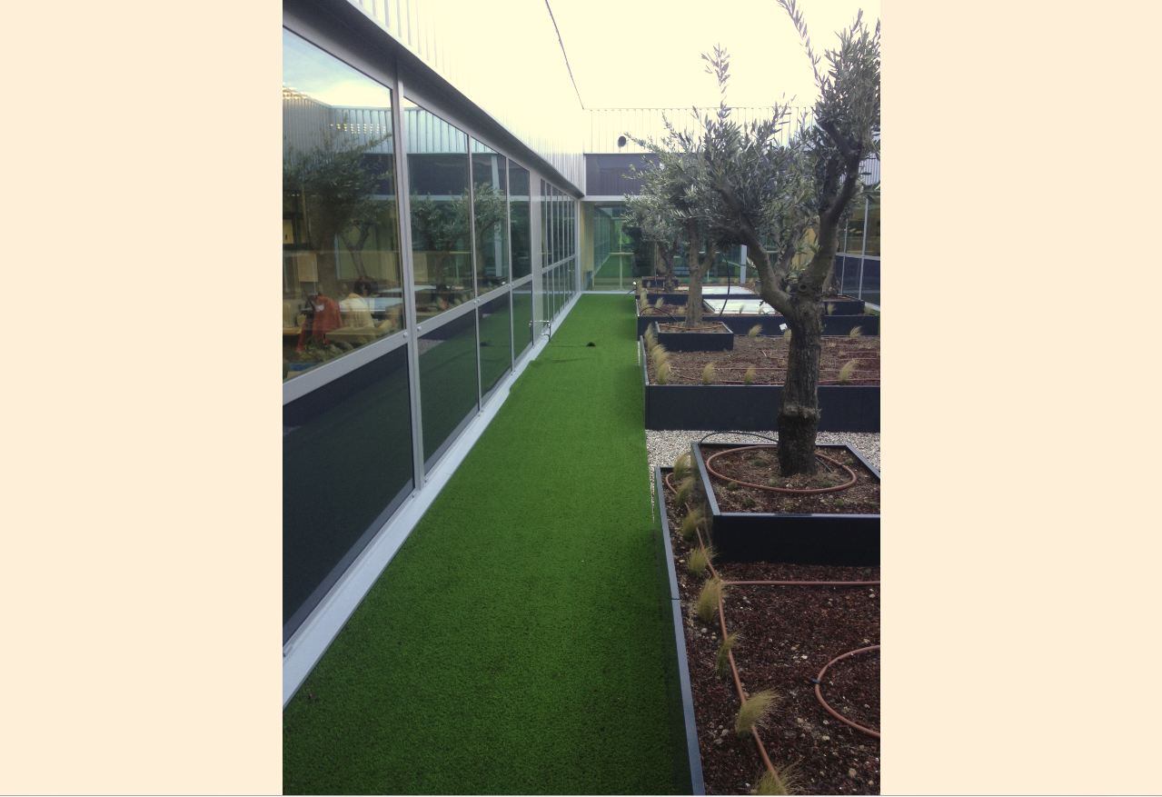 NaturexHQexpansion3x2.jpg