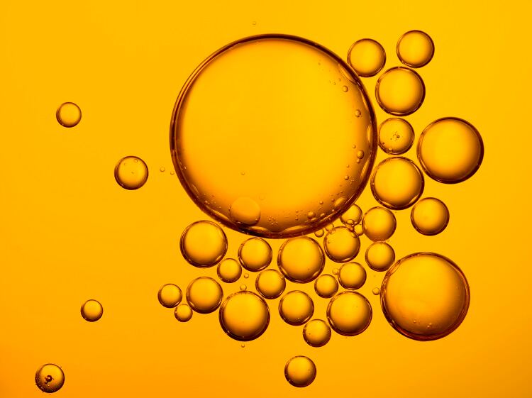 Chewing the microbial fat: The potential for oleaginous yeast to replace unsustainable fat sources