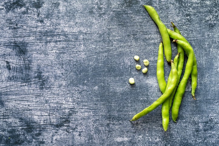 Faba bean ‘potential unlocked’ after scientists identify gene behind often-fatal hereditary disorder   