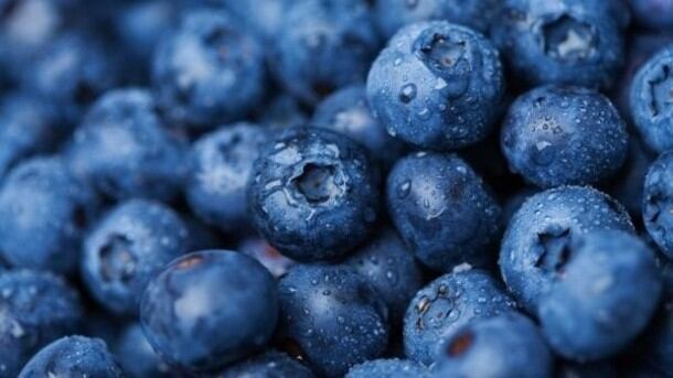 'Convenient and nutritious': US fresh blueberry demand triples