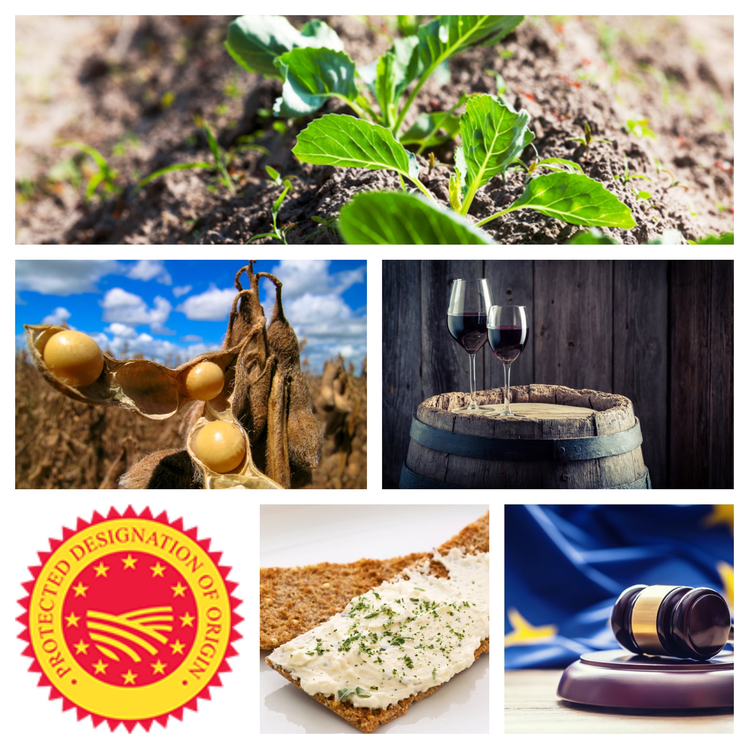 Cleaner, greener farming; plant protein push & taste copyright spat: Our round-up of EU news and views