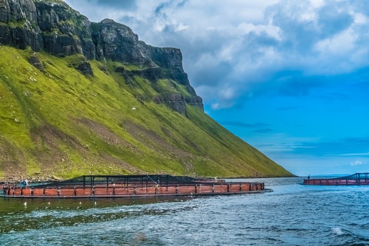 Salmon farming urged to boost tech investment in face of 'significant environmental threats'