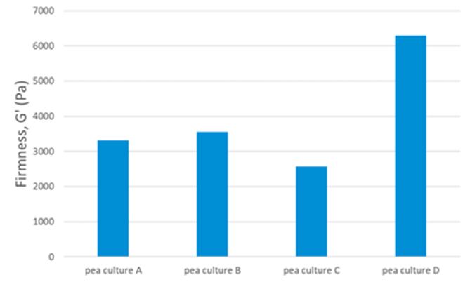 Firmness-of-cream-cheese-alternatives-made-with-pea-proteins-fermented-with-various-cultures-NIZO.png