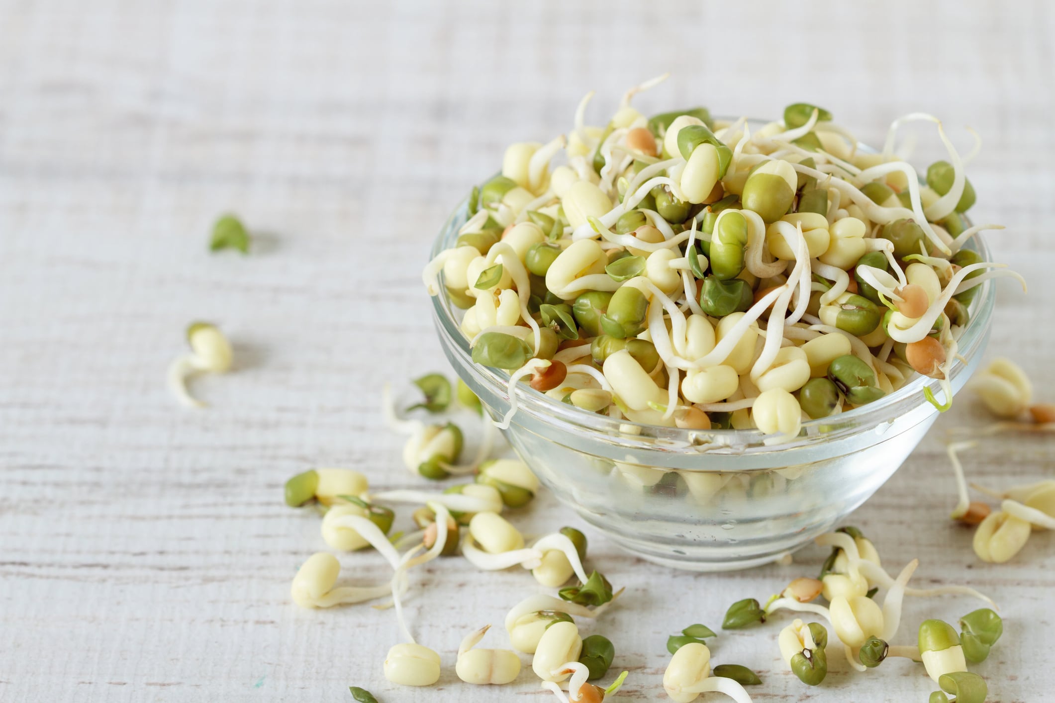 Mung-beans-may-help-control-cholesterol-levels-Brazil-study.jpg