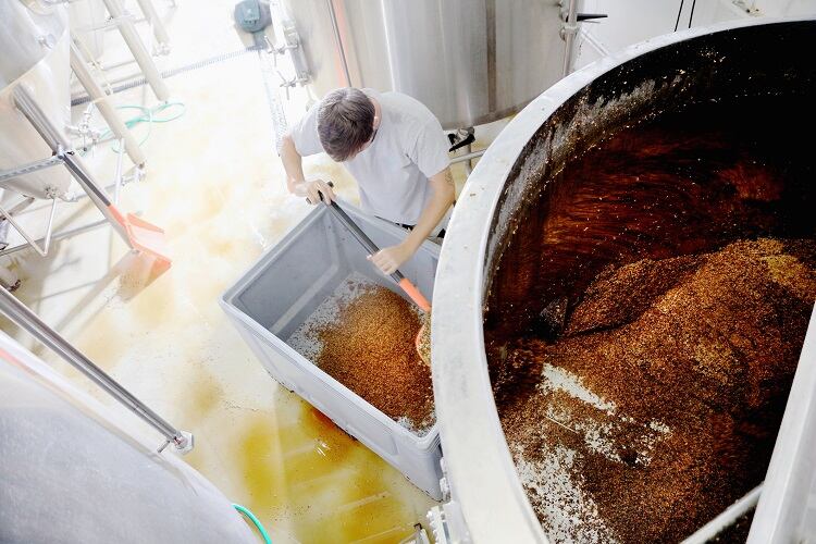Side-stream innovation: Rice, barley, and soy by-products take centre stage