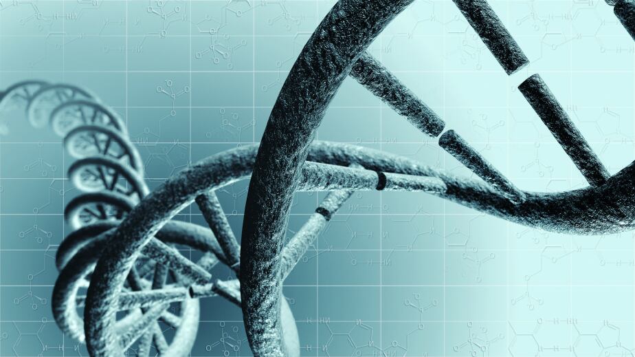 DNA-RNA-fredmantel.jpg