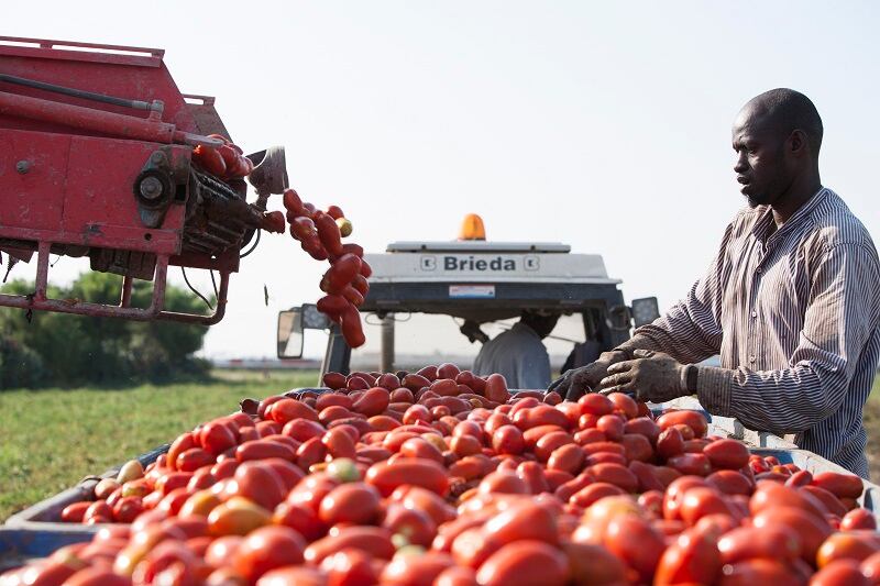 ‘An important tool to foster positive change’: ‘Princes expands migrant worker scheme to support victims of modern slavery